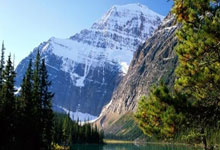 天涯神贴十大排名盘点：那些年我们追过的经典帖子